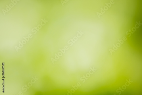 abstract green fresh background, design element
