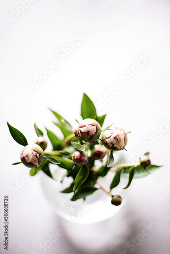 Pink peonies flowers in glass vase
