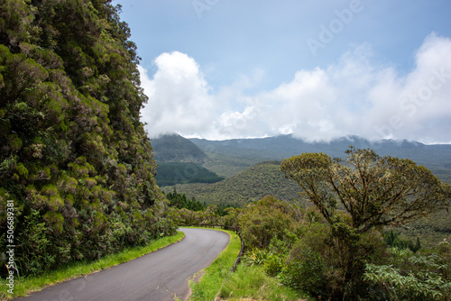 Montain road over tropical forest, Belouve Forest, Reunion Island, Trou de Fer. photo