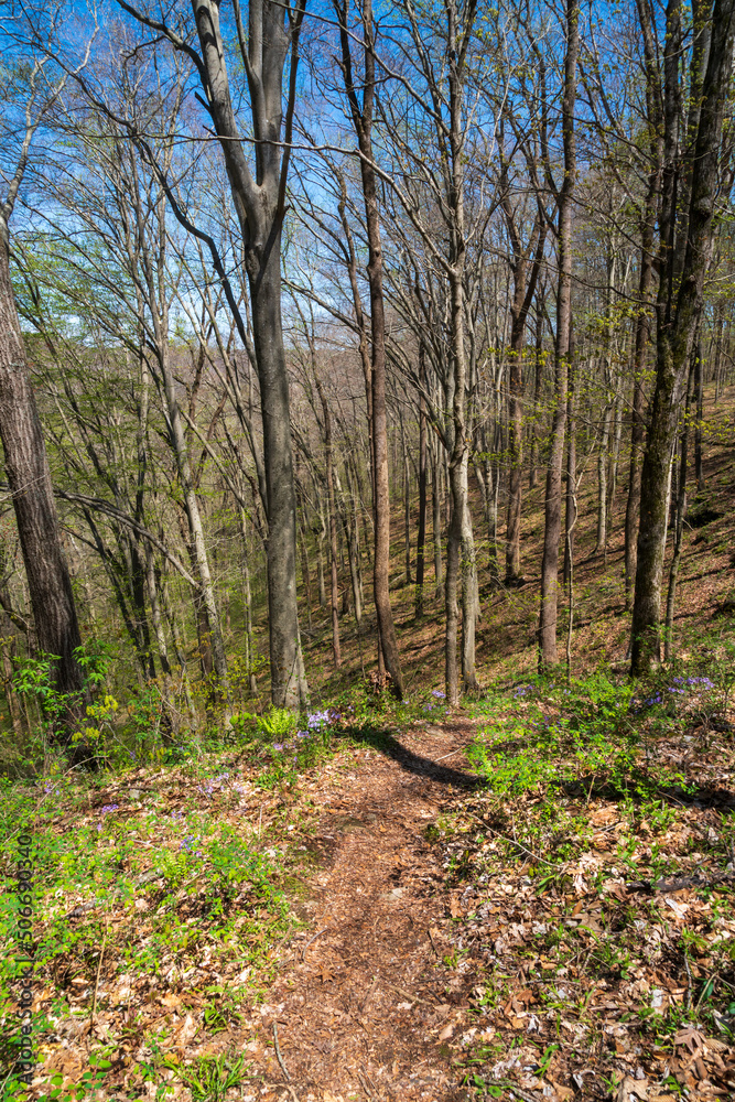 Above Ground at Mammoth Cave National Park