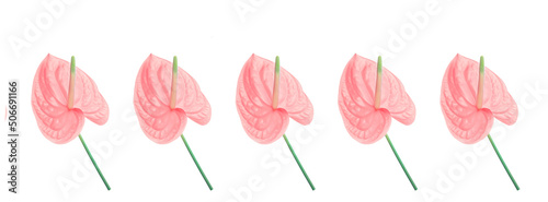 Pattern of a pink flower on a white background.
