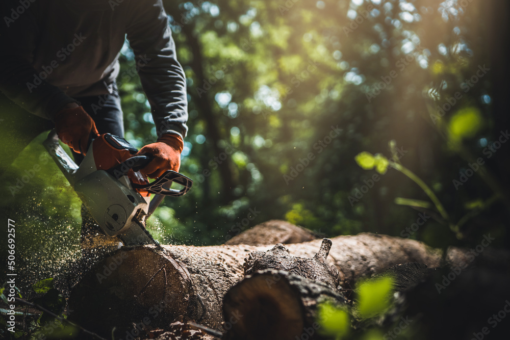 Cordless Chainsaw. Close-up of woodcutter sawing chain saw in motion, sawdust fly to sides. Chainsaw in motion. Hard wood working in forest. Sawdust fly around. Firewood processing. Cordless Chainsaw. Close-up of woodcutter sawing chain saw in motion, sawdust fly to sides. Chainsaw in motion. Hard wood working in forest. Sawdust fly around. Firewood processing.