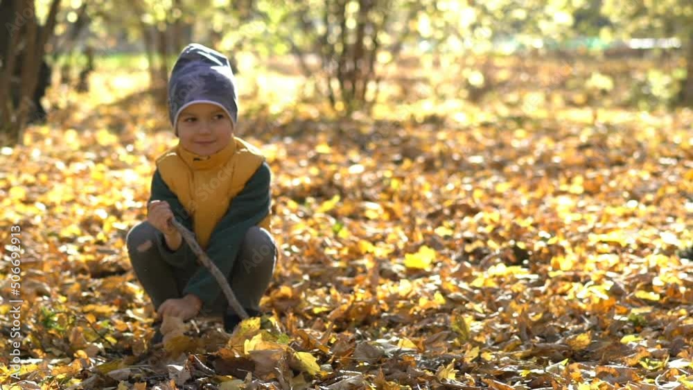 Cute little boy with a sweet smile in a sunny autumn park sits on the ground and play with wooden stick, slow motion Cute little boy with a sweet smile in a sunny autumn park sits on the ground and play with wooden stick, slow motion