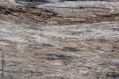 dry tree texture,Texture Of Wood
