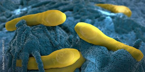 Clostridium botulism pathogens growing on organic tissue - 3d illustration photo