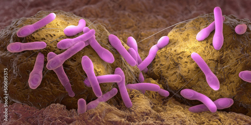 Clostridium botulism pathogens growing on organic tissue - 3d illustration photo