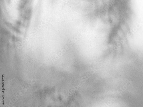 Seamless texture of white cement wall a rough surface and leaf shadow, with space for text, for a background