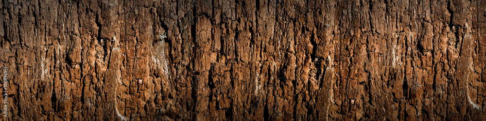 Fototapeta premium Texture of old wood with cracks. Old, cracked wood background, high resolution.