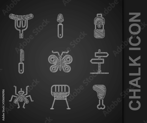 Set Butterfly, Barbecue grill, Chicken leg, Road traffic sign, Mosquito, Knife, Bottle of water and Sausage on the fork icon. Vector