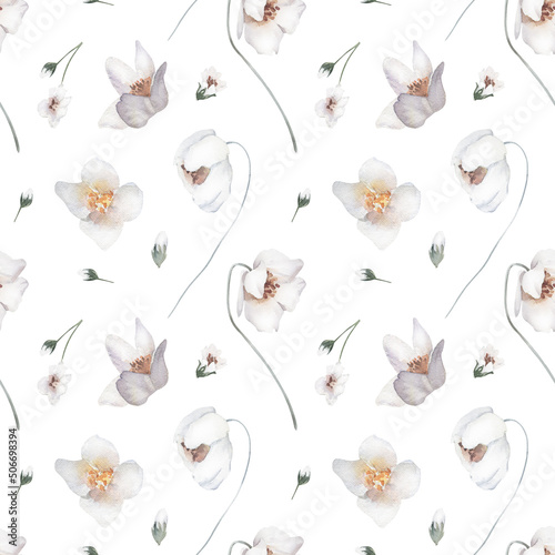 Watercolor Seamless Pattern Background with Meadow Flowers on White Background. © Юлия Павлова