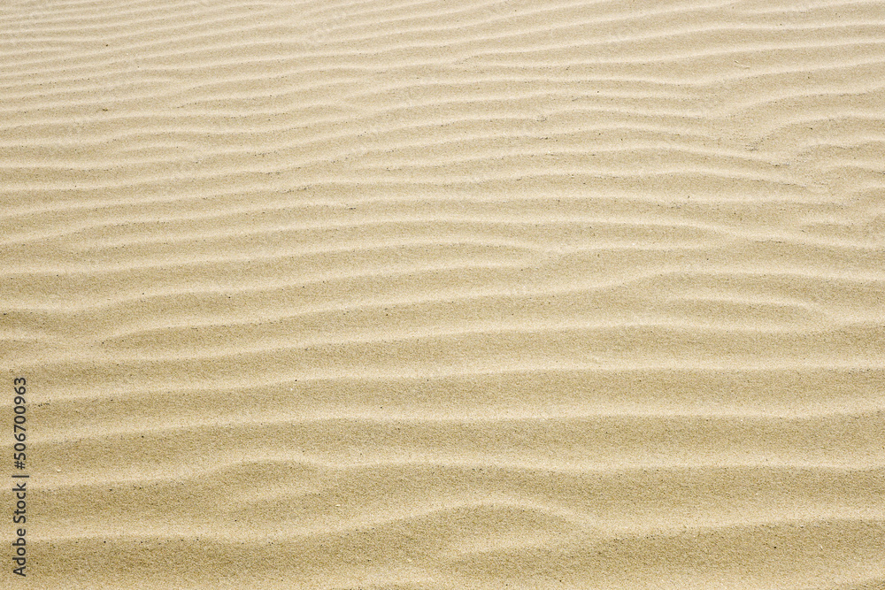 Sand ripples created by the wind in the fine beach sand by the sea Sand ripples created by the wind in the fine beach sand by the sea