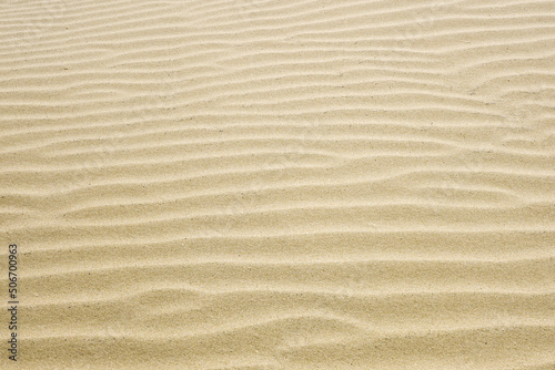 Sand ripples created by the wind in the fine beach sand by the sea