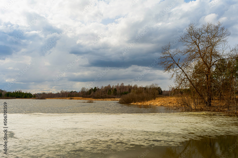A forest lake partly covered with melting ice with a shoreline on which a lone large tree with shrubs grows and old dry grass is present, under a gloomy cloudy sky. Nature landscape Spring evening A forest lake partly covered with melting ice with a shoreline on which a lone large tree with shrubs grows and old dry grass is present, under a gloomy cloudy sky. Nature landscape Spring evening
