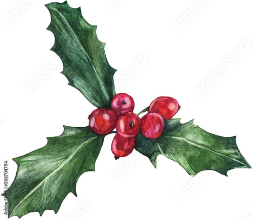 Licorice Christmas Watercolor photo