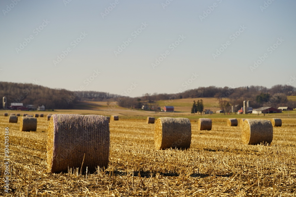 Hay bales sit rolled up outside of Baraboo, Wisconsin on farmland during November.