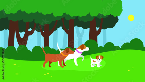 Two dogs and a puppy are walking in the park