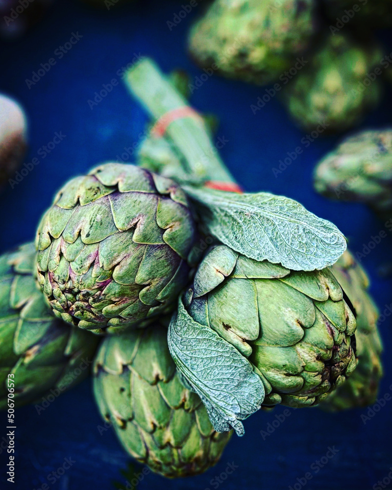 Obraz premium Vegetable