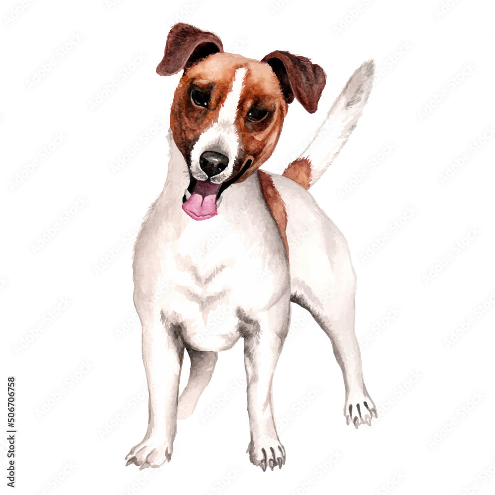 Watercolor Jack russell terrier puppy