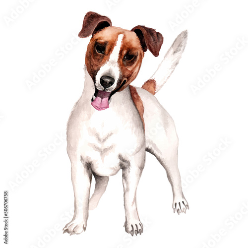 Watercolor Jack russell terrier puppy © Graf_lab