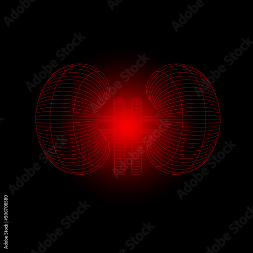 Vector isolated Kidneys illustration with pain or disease center. 3D human organ. Medicine concept with line. Vector illustration of the kidneys. Kidney disease. Kidney care. Concept of nephrology and