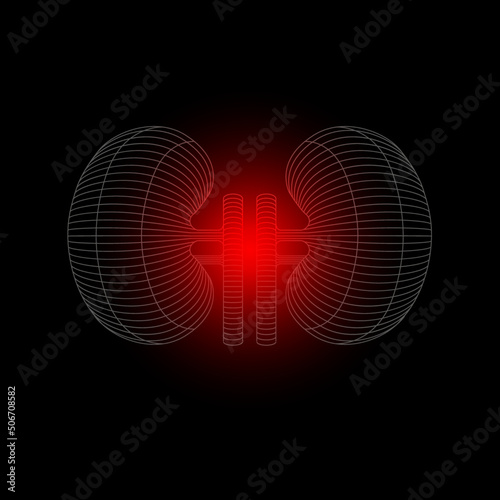 Kidneys vector illustration with pain or disease center. 3D human organ. Medicine concept with line. Vector illustration of the kidneys. Kidney disease. Kidney care. Concept of nephrology and kidneys.