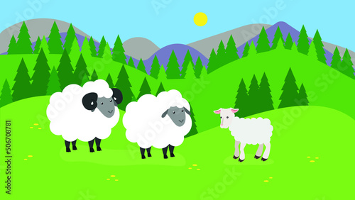 Sheep and lambs graze on green grass in the forest