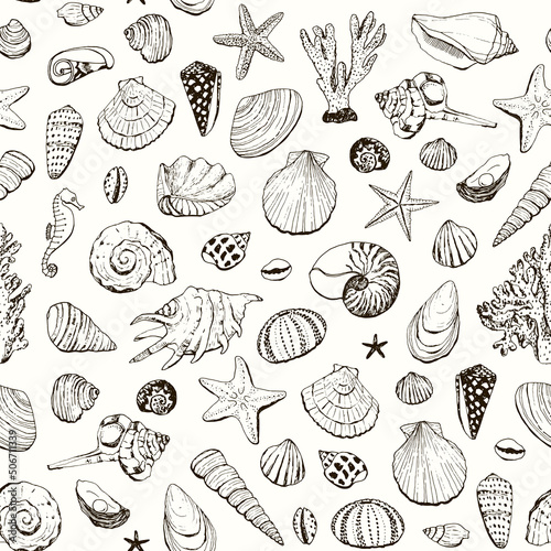 seashells line vector seamless pattern