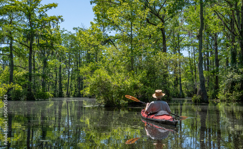 Kayaker paddling in Merchant's Millpond State Park in northeastern North Carolina in late May. Dominant trees are water tupelo (Nyssa aquatica) and baldcypress (Taxodium distichum)