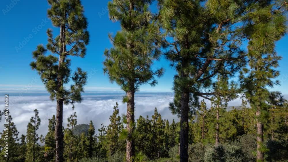 Shot of a sea of clouds moving Shot of a sea of clouds moving