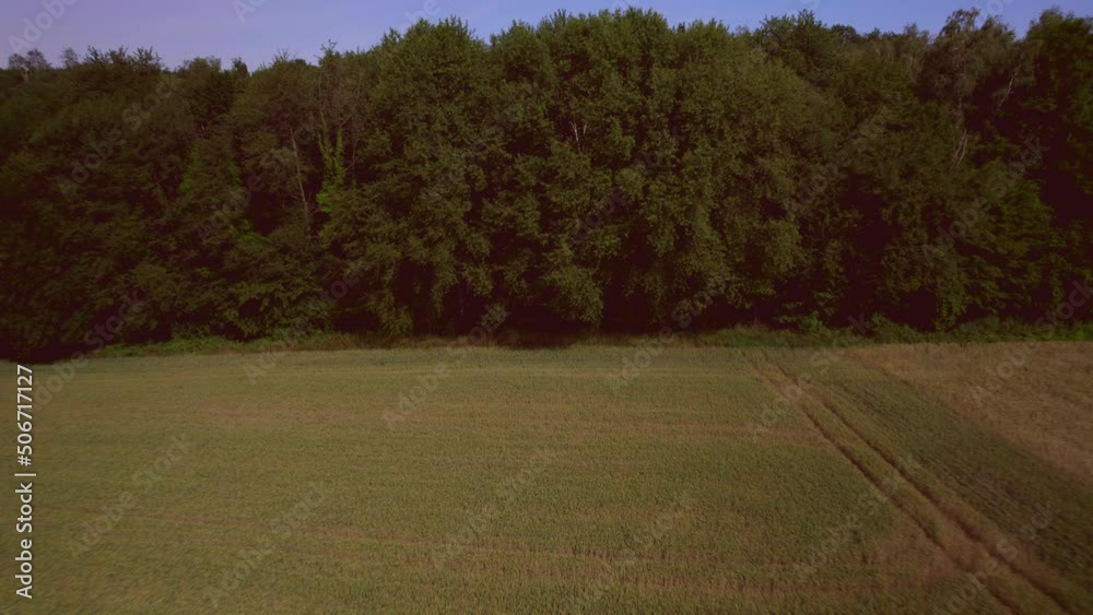 Aerial Landscape: flying towards the forest over the golden grain field with tractor tracks. North Rhine-Westphalia Germany Aerial Landscape: flying towards the forest over the golden grain field with tractor tracks. North Rhine-Westphalia Germany