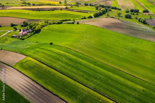 Green Countryside Landscape at Spring. Drone Aerial View. Poland Farmlands