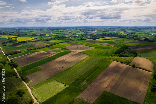 Colorful Lush Crop Fields in Rural Counrtyside Landscape. Aerial Drone View. Polish Farmlands © marcin jucha