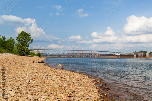 A wake of Black Vultures on the shoreline of the Tennessee River at the Pickwick Landing hydroelectric lock and Dam  on the Tennessee River..
