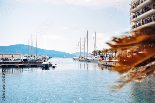 Montenegro. Tivat. Gorgeous beautiful places near the sea, palm trees, boats, restaurants and rest by the water. photo