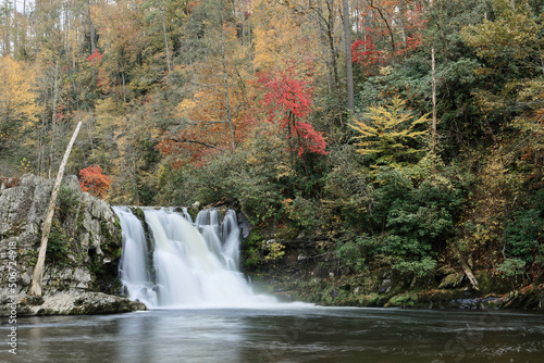 Fototapeta Naklejka Na Ścianę i Meble -  Abrahms Falls in autumn
