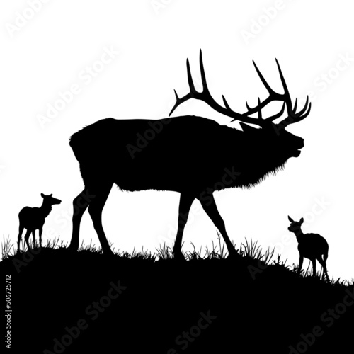 A vector silhouette of a large male bull elk bugling.