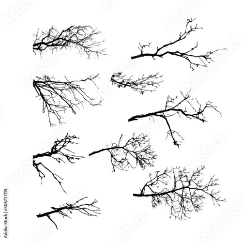 Tree branches set. Vector illustration