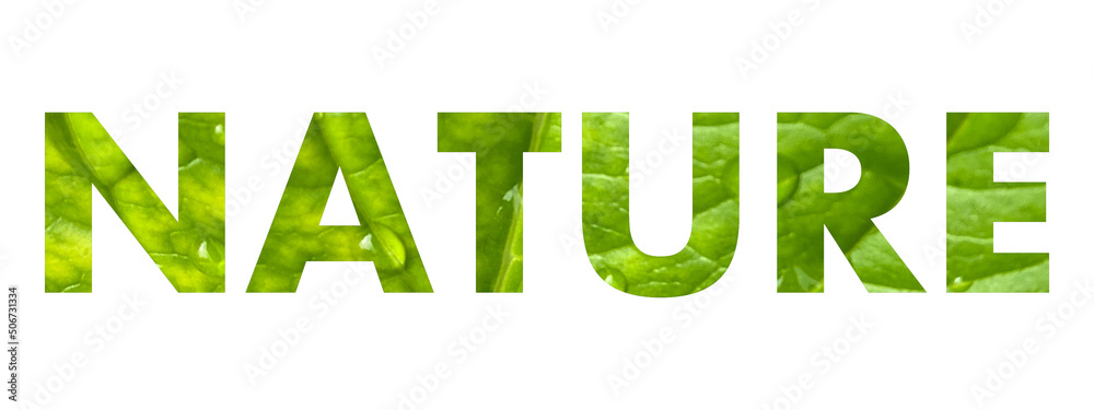 Nature background banner text Nature background banner text