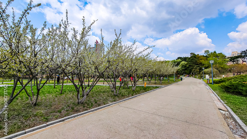 The scenery of Yuhua Garden in Changchun, China in spring photo