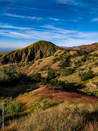 Colorful landscape 