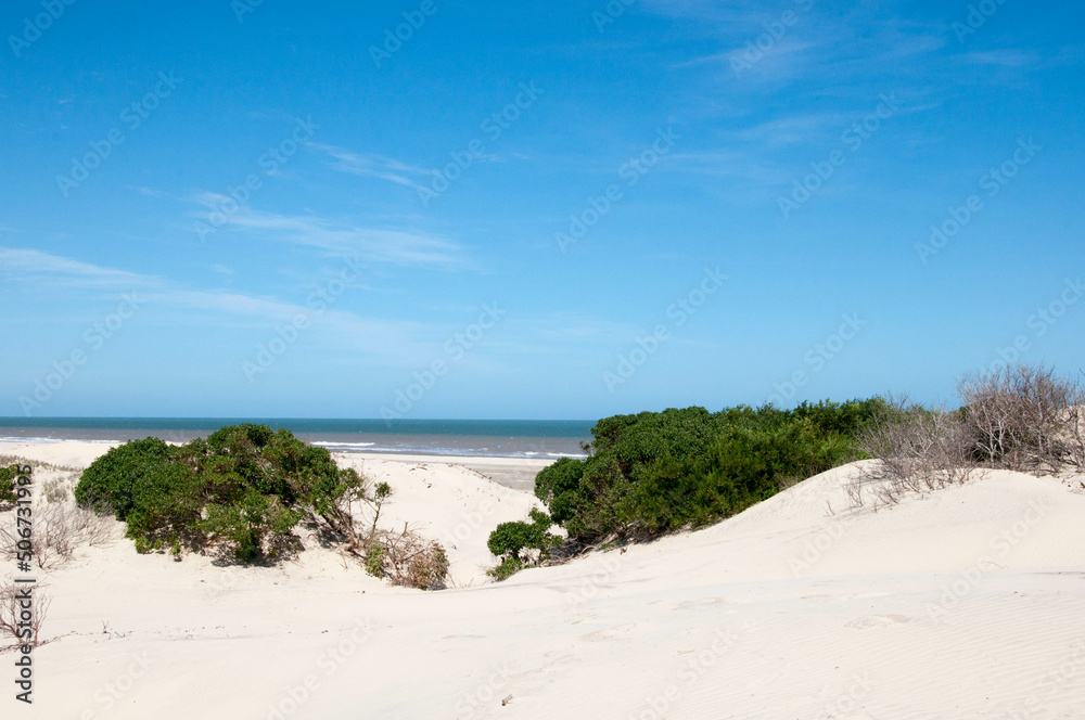 sand dunes on the beach in brazil sand dunes on the beach in brazil