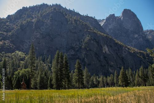 landscape in the summer