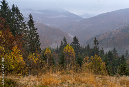Cloudy and foggy early morning autumn mountains scene. Peaceful picturesque traveling, seasonal, nature and countryside beauty concept scene. Carpathian Mountains, Ukraine. © wildman