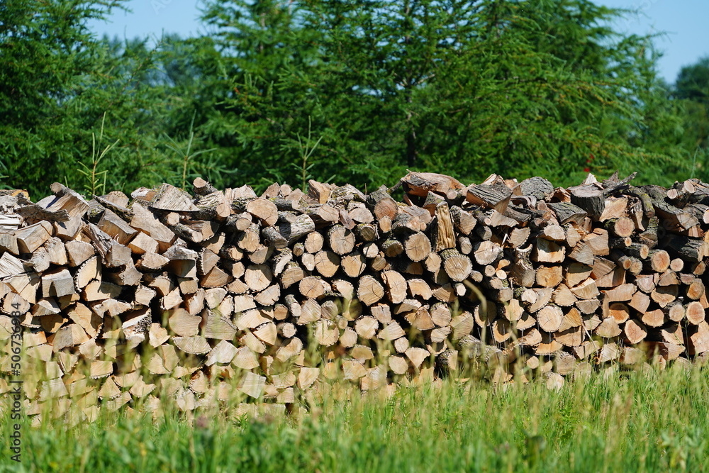 Wood logs stacked up in the countryside 