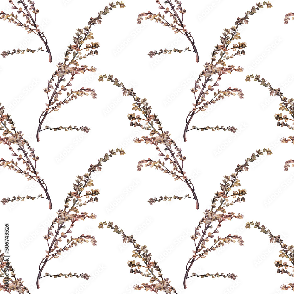 Seamless pattern watercolor dried wild flower wormwood isolated on white background. Hand-drawn brown branch herb for decor. Botanical antique illustration for wallpaper florist. Nature clipart