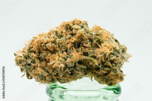 Orange and Green Coloured Cannabis Flower