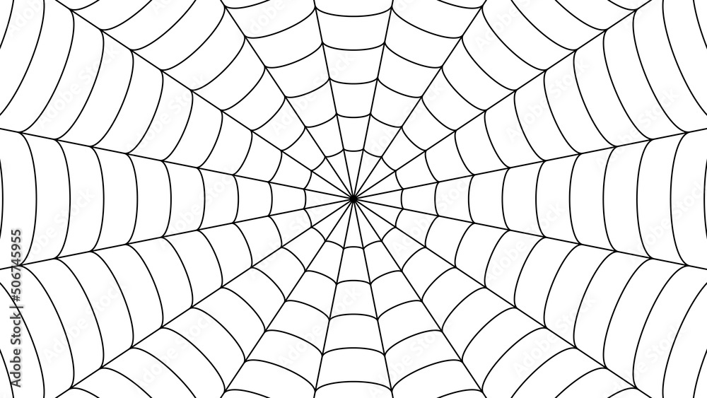 蜘蛛の巣の背景