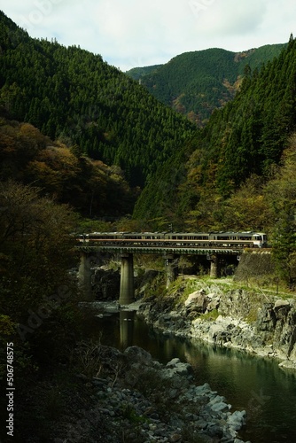 Limited express HIDA running on the Takayama Line in autumn
