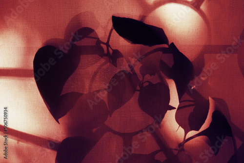 Blurred floral shadow sunset on old retro fabric texture.  vintage textile background. Abstract backdrop with floral pattern and crossed lines shadows. Wabi sabi style aestetics photo