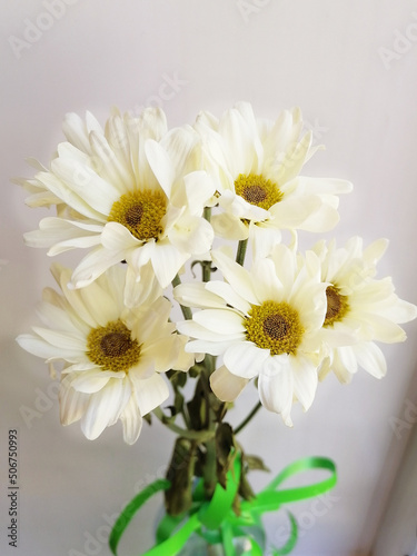 daisies in vase © Людмила Савчук
